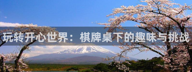 星空娱乐网：玩转开心世界：棋牌桌下的趣味与挑战