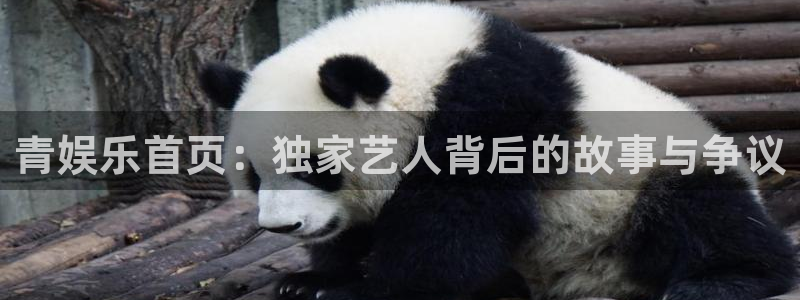 星空娱乐传媒有限公司：青娱乐首页：独家艺人背后的故事与争议