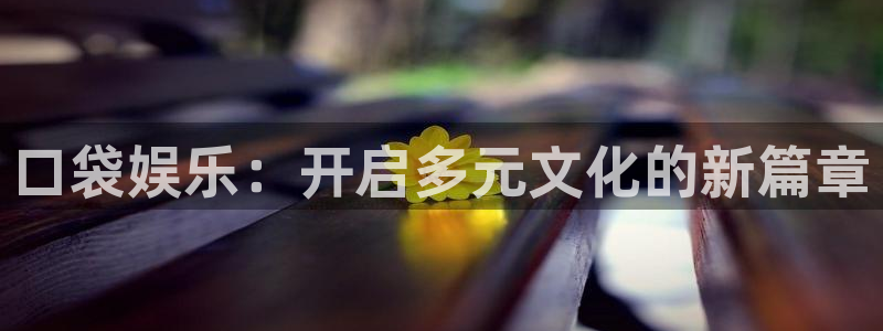 星空娱乐二维码图片怎么弄：口袋娱乐：开启多元文化的新篇章