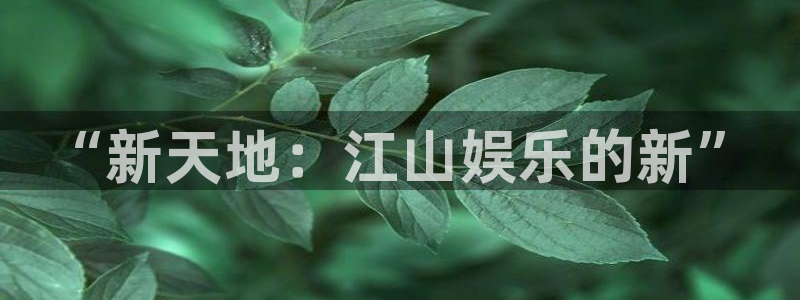 星空娱乐网站：“新天地：江山娱乐的新”