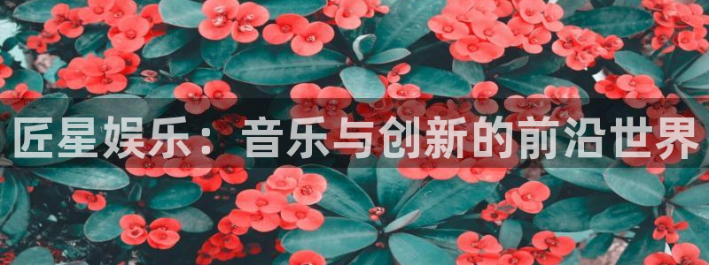 星空娱乐网站官网：匠星娱乐：音乐与创新的前沿世界