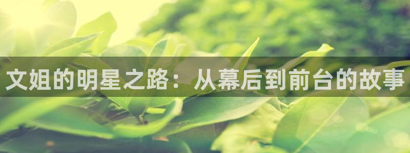 星空娱乐-应用详情：文姐的明星之路：从幕后到前台的故事