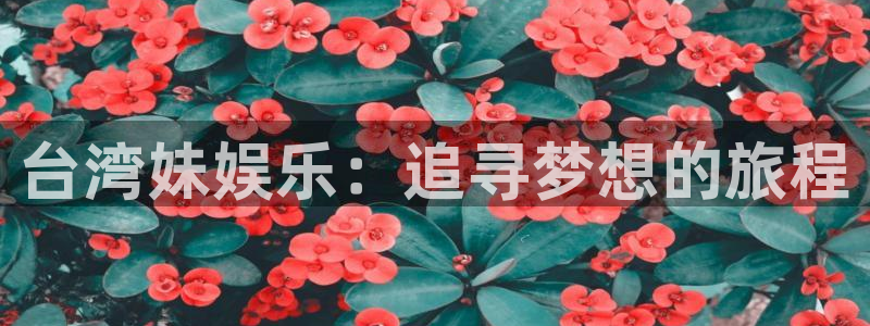星空娱乐93299尊享版：台湾妹娱乐：追寻梦想的旅程