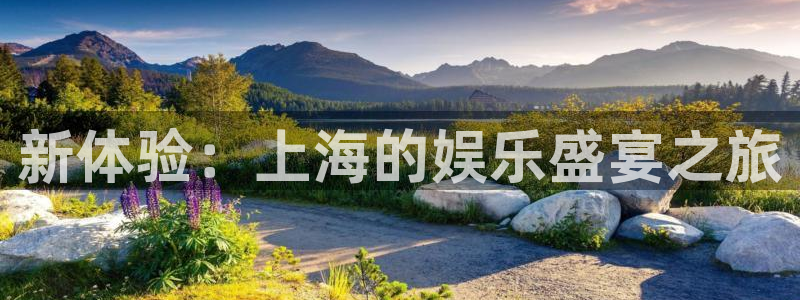 星空娱乐网站：新体验：上海的娱乐盛宴之旅