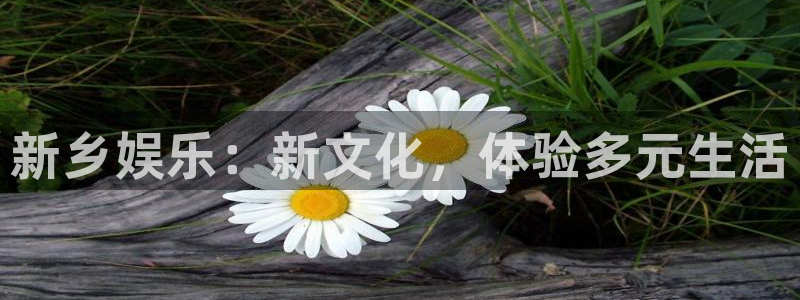 星空娱乐app安装：新乡娱乐：新文化，体验多元生活