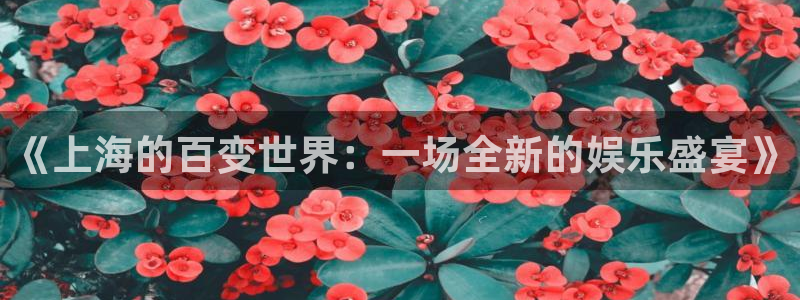 星空娱乐app下载安装：《上海的百变世界：一场全新的娱乐盛宴》