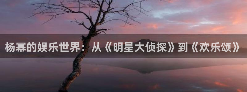 星空娱乐传媒有限公司：杨幂的娱乐世界：从《明星大侦探》到《欢乐颂》