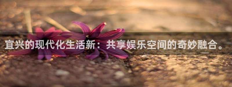 星空娱乐app下载：宜兴的现代化生活新：共享娱乐空间的奇妙融合。