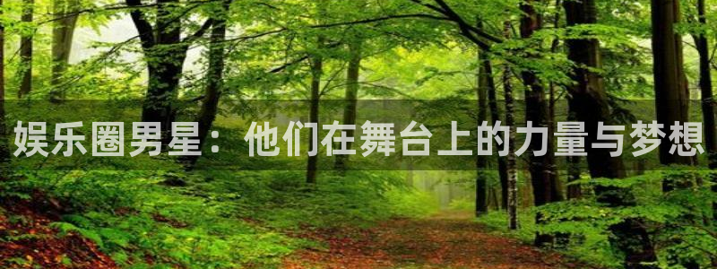 星空娱乐app下载安装：娱乐圈男星：他们在舞台上的力量与梦想