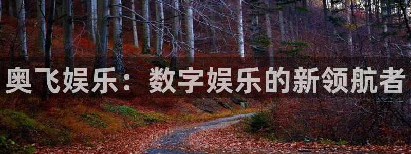 星空娱乐官网：奥飞娱乐：数字娱乐的新领航者