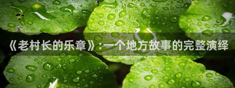 星空娱乐：《老村长的乐章》:一个地方故事的完整演绎