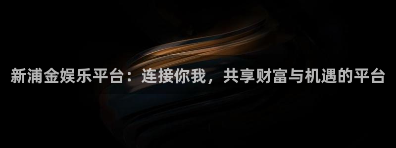 星空娱乐游戏：新浦金娱乐平台：连接你我，共享财富与机遇的平台