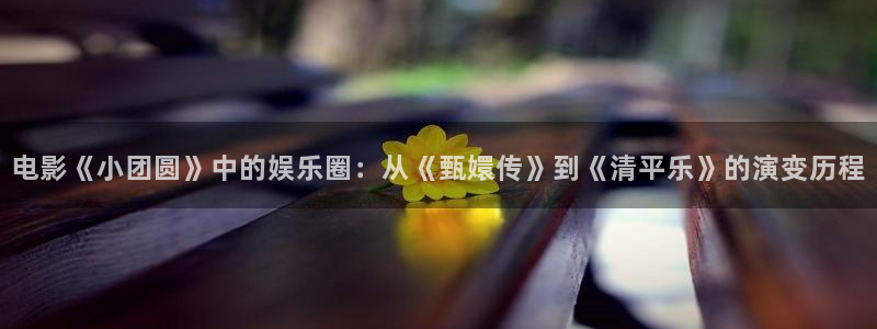 星空娱乐网：电影《小团圆》中的娱乐圈：从《甄嬛传》到《清平乐》的演变历程